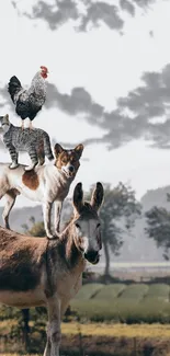 Animals stacked on each other in a countryside setting with cloudy sky.