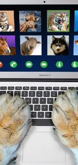 Cat making video call to animals on laptop, coffee on table.
