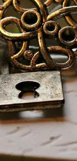 Bronze antique key resting elegantly on a smooth marble surface.