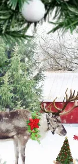 Antler Deer Reindeer Live Wallpaper