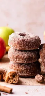 Stack of apple cider donuts with apples and spices in warm tones.