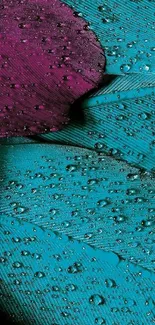 Aqua and purple feather with dew drops mobile wallpaper.