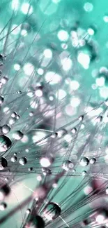 Aqua-toned dandelion with dew drops close-up in nature.