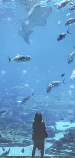 Aquarium wallpaper with diverse fish swimming in a blue ocean.