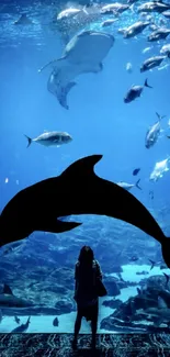 Aquarium wallpaper with dolphin silhouette and swimming fish.