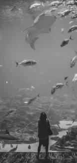 Black and white aquarium wallpaper with diverse fish.