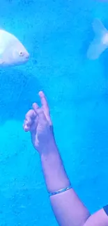 Hand gesturing towards a fish in a blue aquarium background.