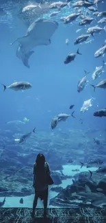 Silhouette in front of a large aquarium with swimming fish.