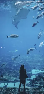 Person observing fish in large aquarium with blue water and diverse sea life.