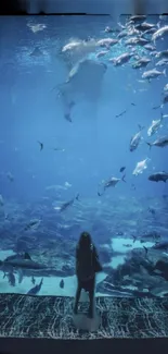 Silhouette in front of large aquarium with fish.