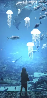 An aquarium scene with fish swimming in blue water.