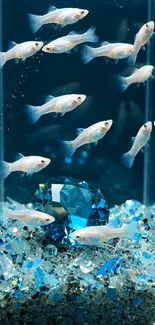 White fish swimming around blue gems in aquascape.
