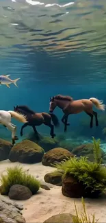 Horses swimming gracefully underwater with fish and vibrant sea plants.