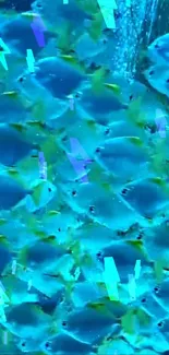 A vibrant school of fish swimming in blue water, creating a serene aquatic scene.