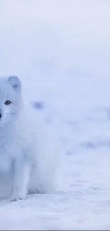 Arctic fox on snow with playful emojis.