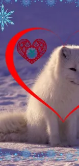 Arctic fox surrounded by a red heart and blue snowflakes.