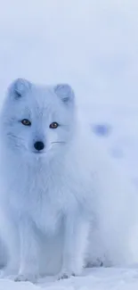 Arctic fox sitting in snowy landscape, serene and majestic.