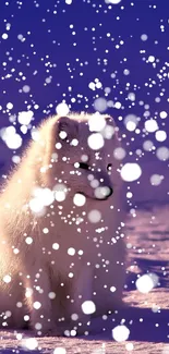 Arctic fox sitting on snow with a vibrant blue sky background.