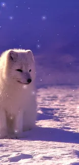 Arctic fox sitting on snow under purple twilight.