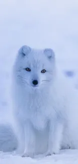 Serene arctic fox on snow with minimalist design in light blue tones.