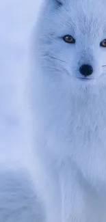 Arctic fox in a serene snow-covered background, perfect for phone wallpapers.