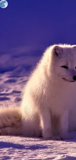 A fluffy Arctic fox under a vibrant blue night sky with the moon visible.