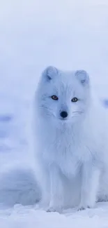 Beautiful Arctic fox in snowy landscape mobile wallpaper.