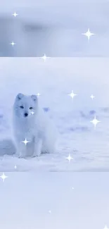 Arctic fox on snow with sparkling stars in the background.