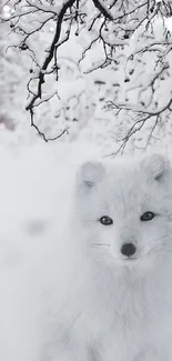 Arctic fox in a snowy landscape with bare winter trees.