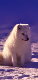 Arctic fox on snowy terrain under a purple sky.