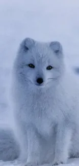 Arctic fox in snow, serene winter portrait on mobile wallpaper.