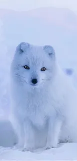 Arctic fox sitting in a snowy landscape, perfect for winter wallpaper.