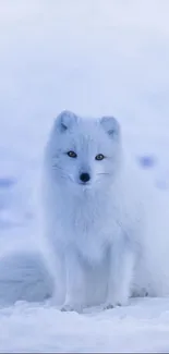 Beautiful image of an Arctic fox sitting in a snowy landscape, perfect for winter wallpaper.