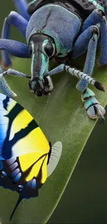 Vibrant close-up of insect and butterfly on a green leaf.