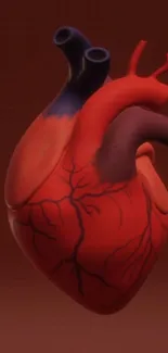 Artistic depiction of an anatomical heart with veins on a red background.