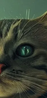 Artistic depiction of a cat with green eyes on a mobile wallpaper.