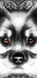 Artistic black and white dog face wallpaper with brown eyes.