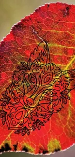 Intricate fox mask on a vivid red leaf wallpaper.