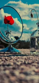 Red flower reflected in mirror with sky background.