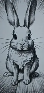 Black and white sketch of a rabbit in an artistic style for mobile wallpaper.