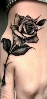 Black and white rose tattoo on hand wallpaper.