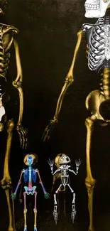 Artistic skeletons on a dark mobile wallpaper.