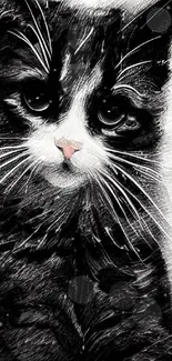 Black and white sketch of a cute kitten with detailed fur and big eyes.