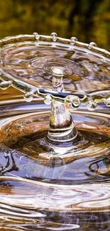 Close-up of a mesmerizing water splash with reflective ripples and golden hues.