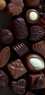 Assorted chocolates displayed in a rich, dark composition.