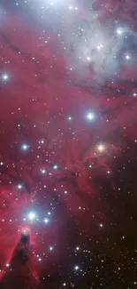 A vibrant crimson nebula with stars.