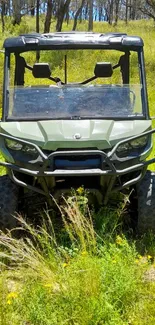 ATV parked in lush green field with vibrant natural backdrop.