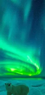 Vivid Northern Lights over polar bear scene.