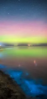 Aurora Borealis lights over a quiet beach under a starry night sky.