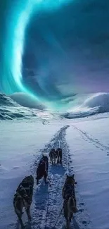 Dog sled adventuring under the aurora borealis on a snowy night.